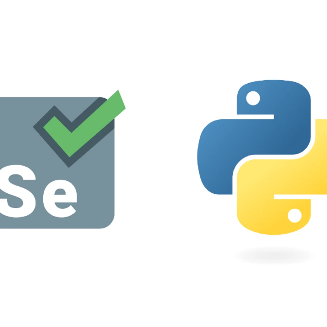 Python Pakete installieren oder Updaten via Setup-Skript
